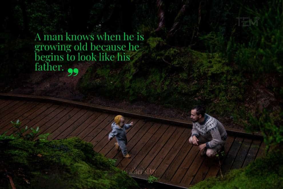Fathers Day Quotes