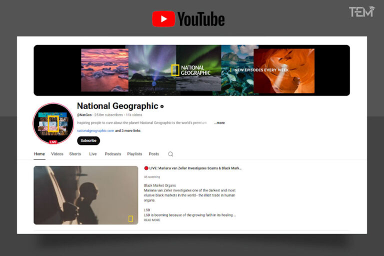 Best YouTube Channels for Education in 2026 (Top 10 Picks)