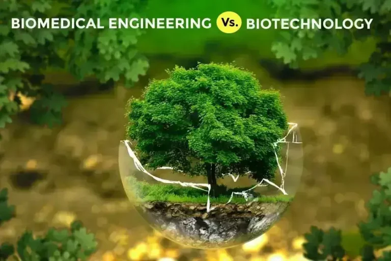 biomedical-engineering-vs-biotechnology