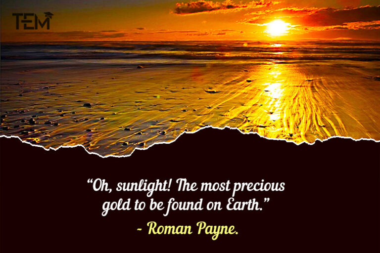 Sun Rises Quote Sunrise Quotes: Shine Amidst Your Life’s Darkness