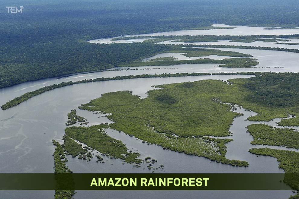 Aerial view of the Amazon Rainforest showing winding rivers, dense tropical forest, and one of the world's largest natural wonders in South America.