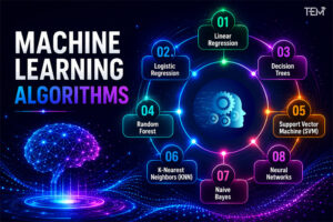 Top Machine Learning Algorithms 2026: Types & Applications