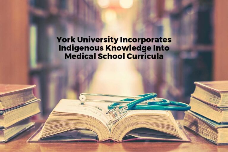 Medical School Curricula