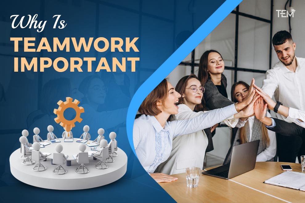 Why Teamwork Is Important