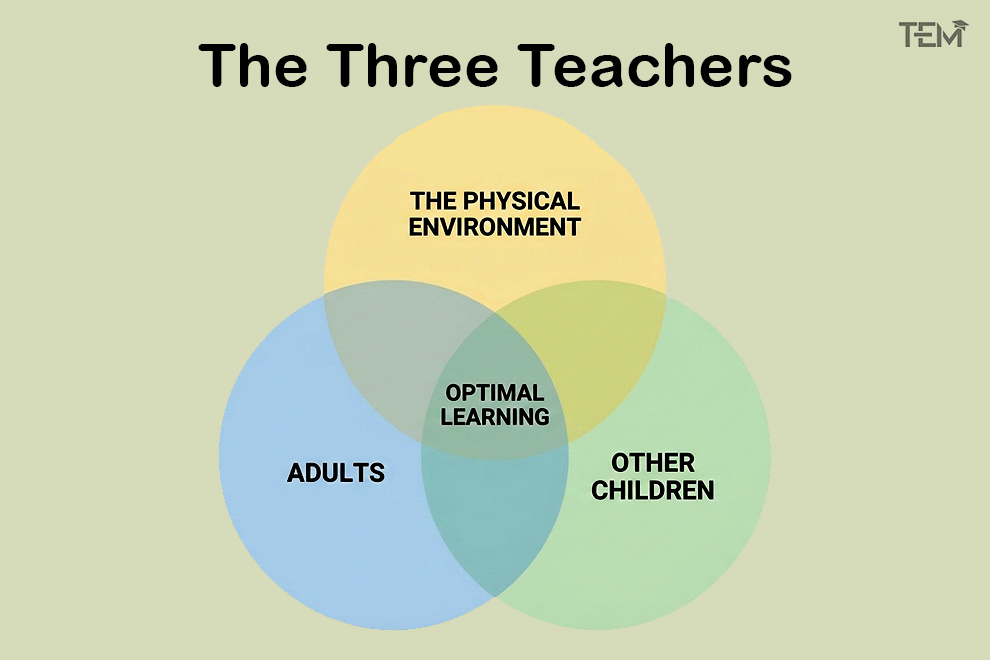reggio emilia three teachers infographic