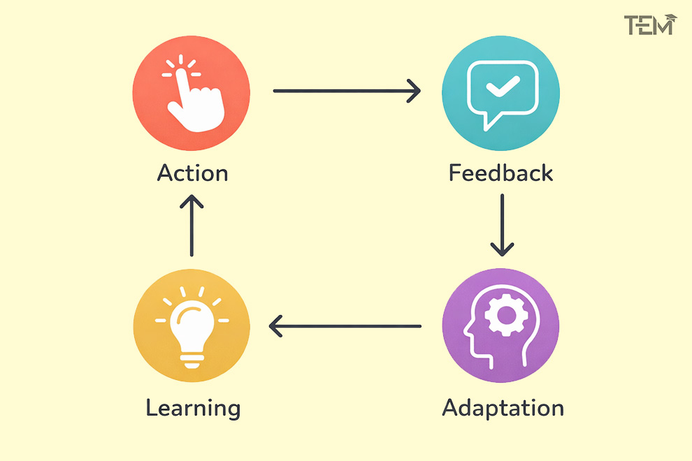 Cyclical-learning-process-infographic