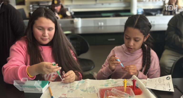 Elite Academic Academy