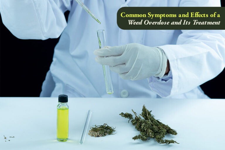 Weed Overdose and Its Treatment