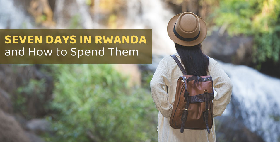 Seven Days in Rwanda